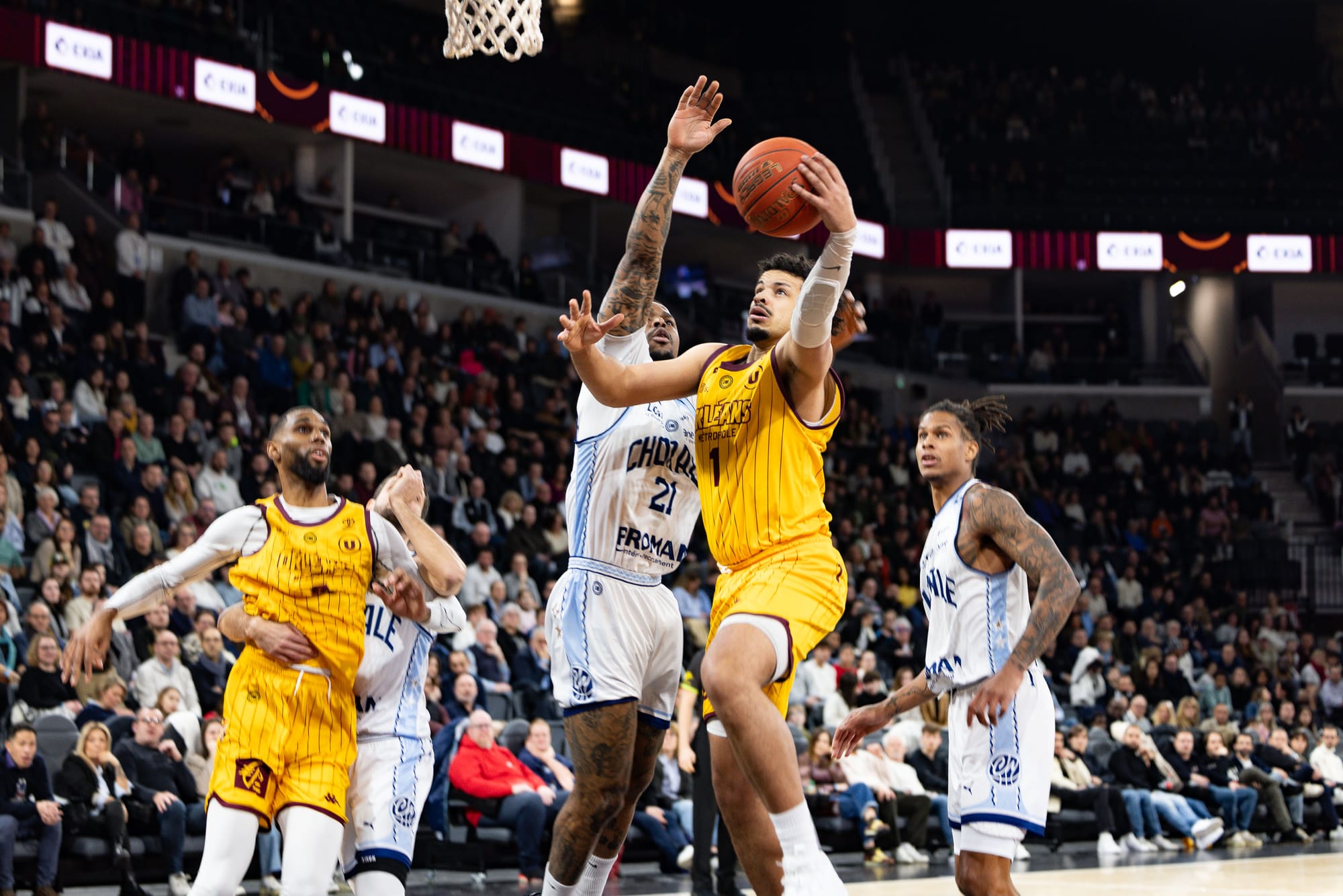 Pro B - Orléans-Roanne : Et 1, et 2 et 3-0 !